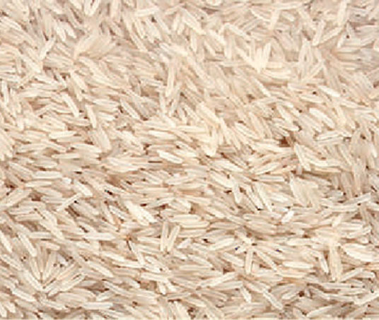 1509 Basmati Rice